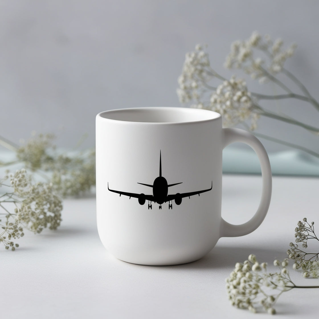 Accesorios de Aviación